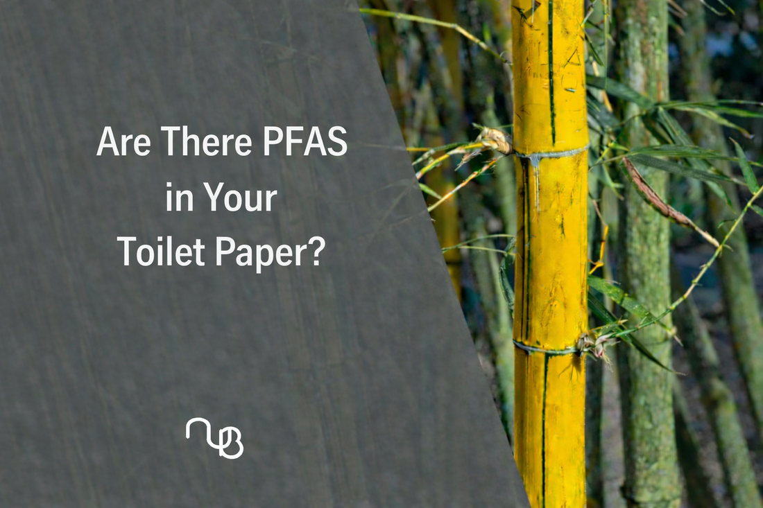 Are There PFAS in Your Toilet Paper? A Complete Guide for Eco-Conscious Families.