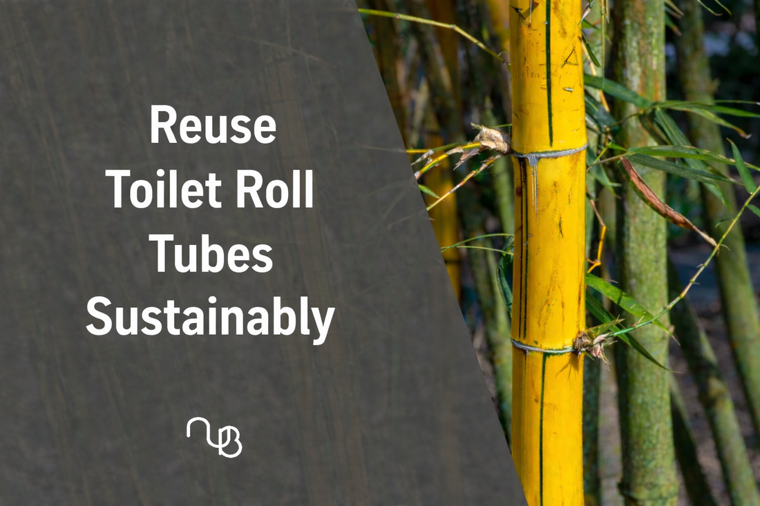 Bamboo Toilet Paper Tips | Reuse Toilet Roll Tubes Sustainably
