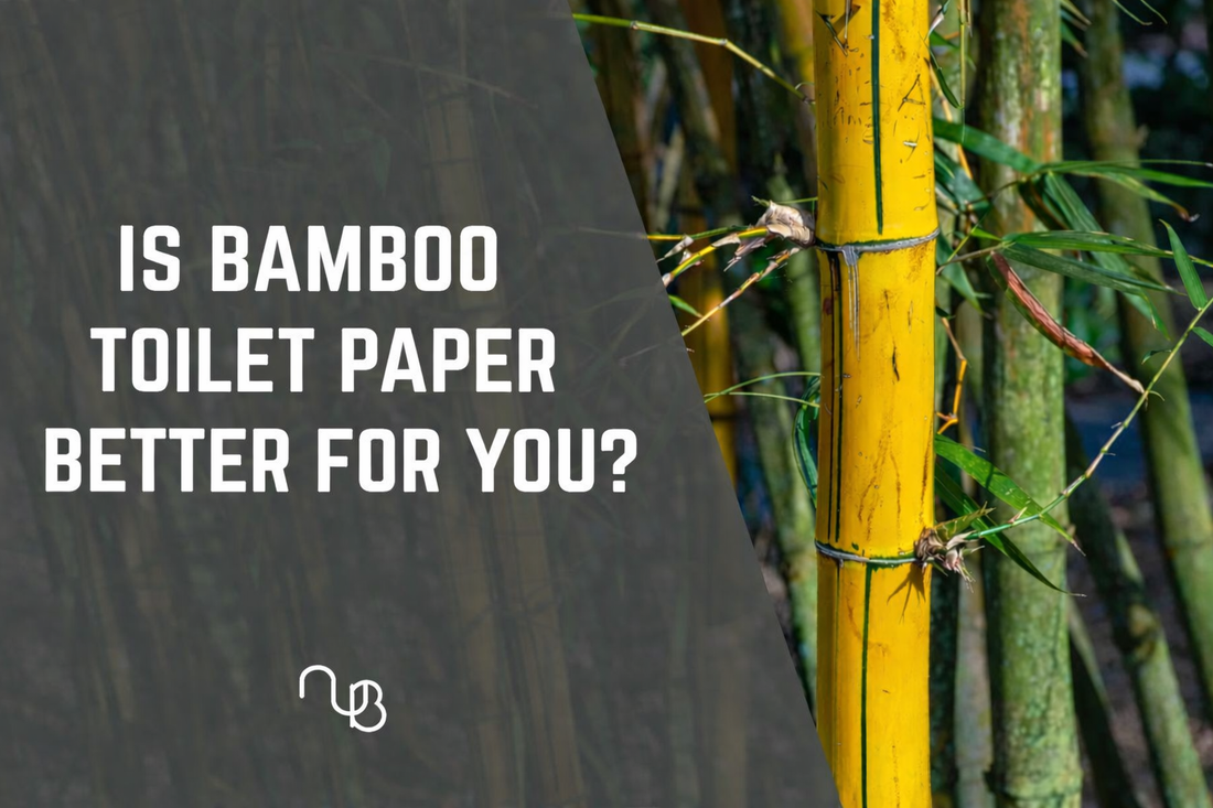 Is bamboo toilet paper better for you?