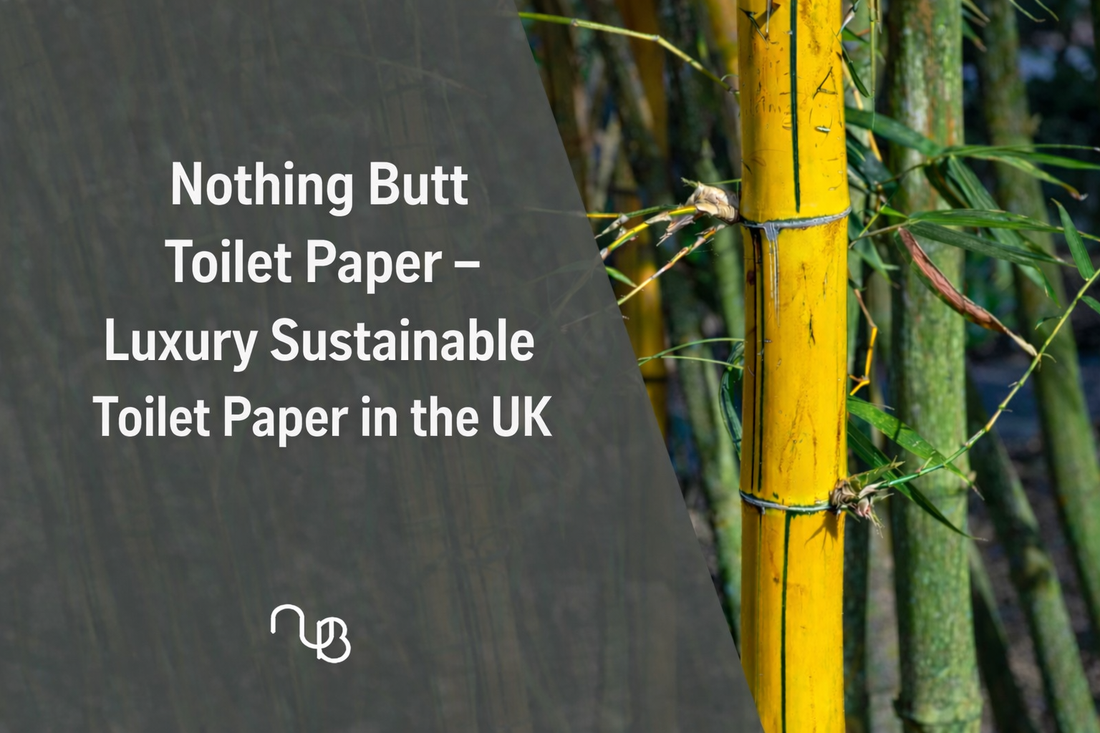 Nothing Butt Toilet Paper – Luxury Sustainable Toilet Paper in the UK