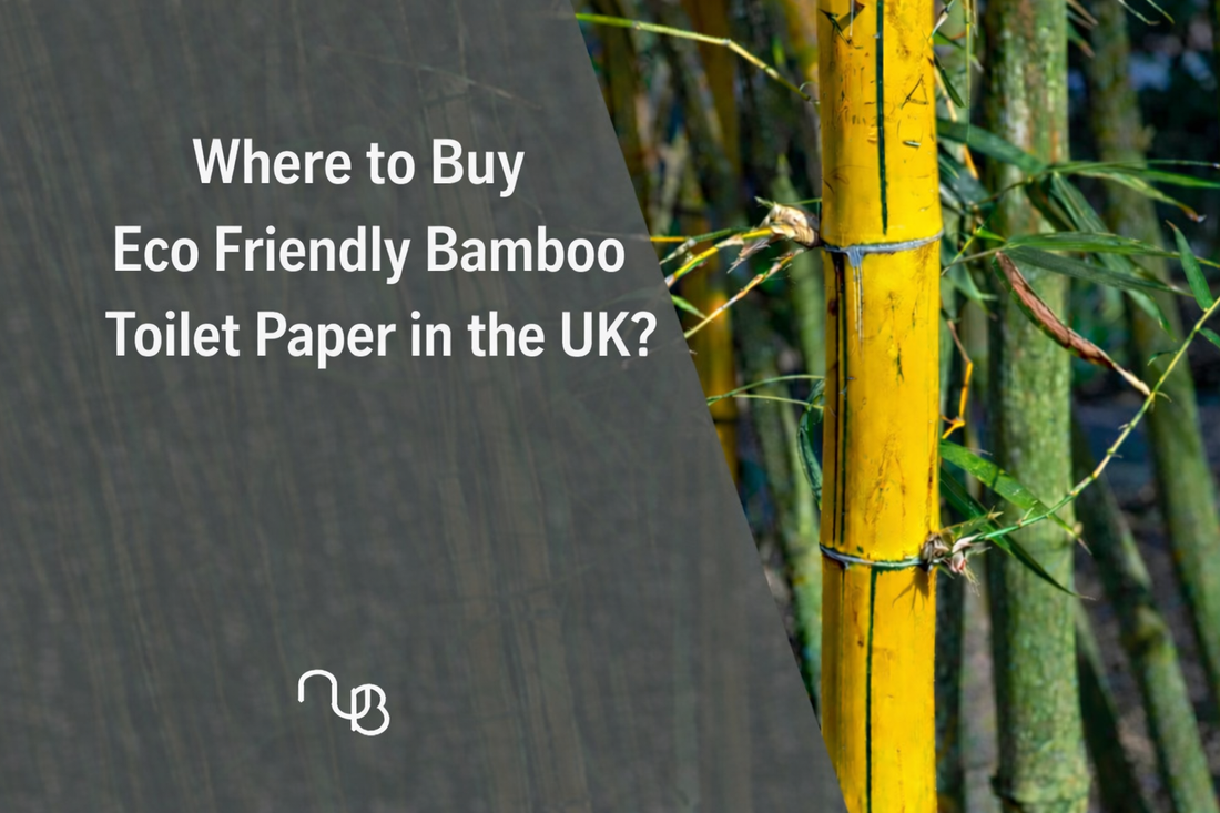 Where to Buy Eco Friendly Bamboo Toilet Paper in the UK – Support a Small Business