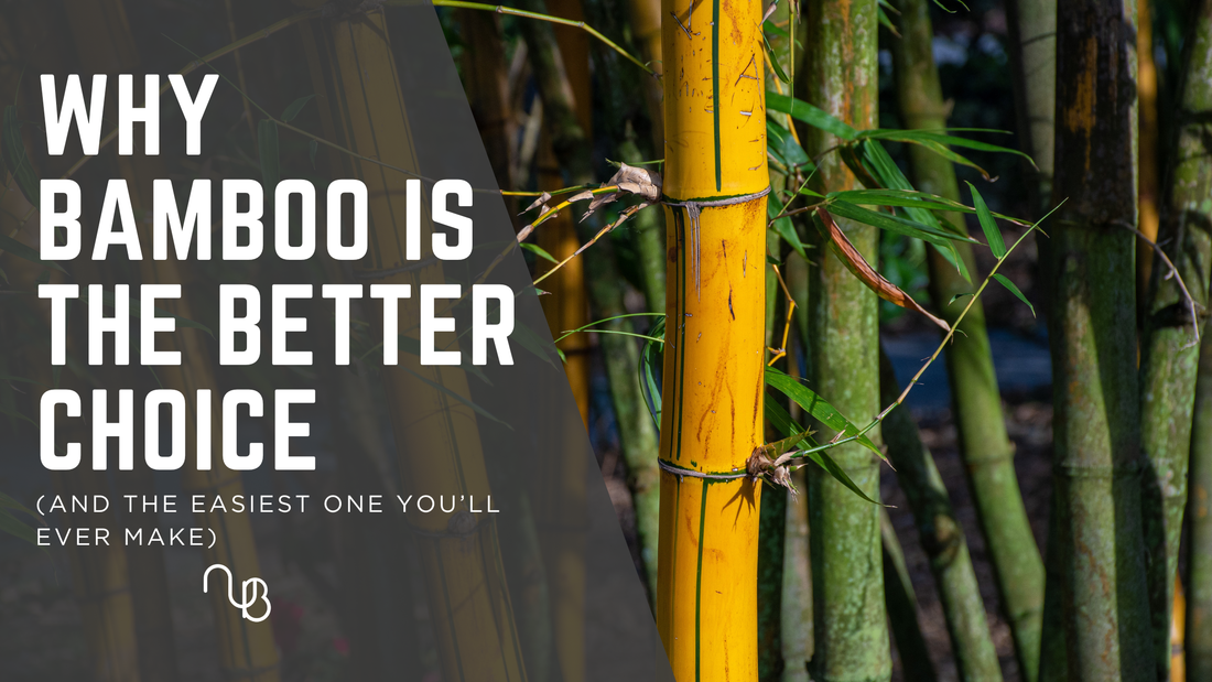 Why Bamboo Is The Better Choice