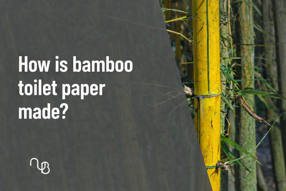 Bamboo Toilet Paper UK | How It Is Made?